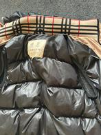 Mooi burberry bodywarmer, Ophalen of Verzenden, Zo goed als nieuw, Maat 56/58 (XL), Burbberry