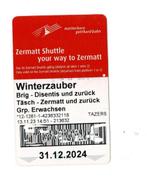 Treinkaart in Zwitserland, Tickets en Kaartjes, Algemeen kaartje, Buitenland, Trein, Eén persoon