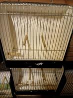 tt kooien, Dieren en Toebehoren, Ophalen, Gebruikt