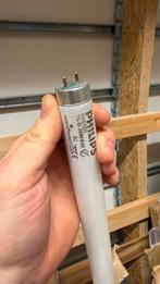 Philips TL-D 36W/830 Lampen, Ophalen, Gebruikt, Minder dan 50 watt, Lamp