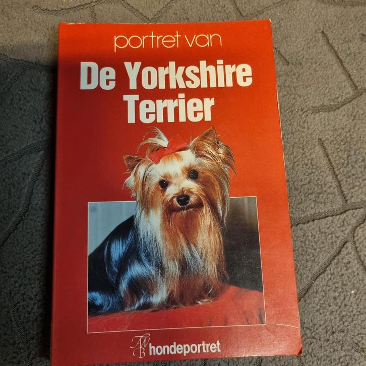 Portret van de Yorkshire Terriër - Hond, Boeken, Dieren en Huisdieren, Gelezen, Ophalen of Verzenden