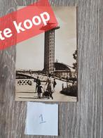 Diergaarde Blijdorp ansichtkaarten - per stuk - Serie A, Ophalen of Verzenden