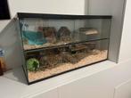 Groot glazen hamster- of knaagdierenverblijf + verdiepingen, Kooi, Gebruikt, Minder dan 75 cm, Hamster