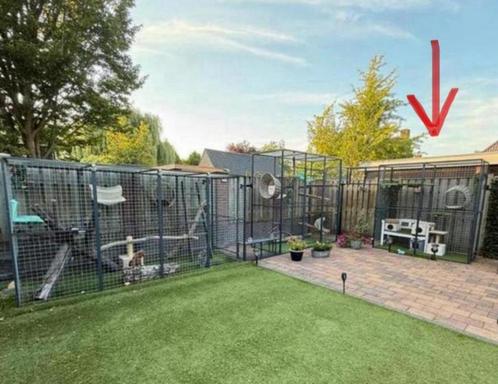 Kattenren met tunnel, Dieren en Toebehoren, Katten-accessoires, Zo goed als nieuw, Ophalen