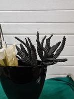 bloempot zwart met kunstbloemen, Ophalen of Verzenden, 'T Olde Gre-j, Info@toldegrej.nl, Endepoelstraat 20f Didam