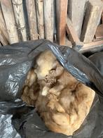 Schapenwol, diverse soorten en kleuren, Ophalen of Verzenden, Nieuw, Spinwol