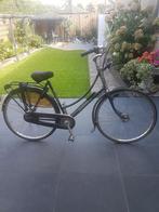Damesfiets Batavus Florence, Ophalen, 53 tot 56 cm, Versnellingen, Batavus