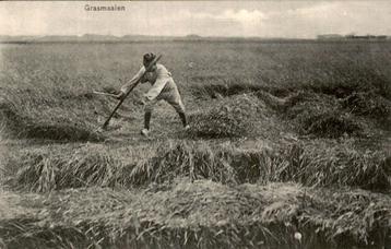 Grasmaaien  beschikbaar voor biedingen