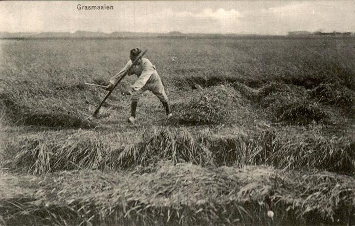 Grasmaaien, Verzamelen, Ansichtkaarten | Nederland, Ongelopen, Noord-Brabant, Voor 1920, Ophalen of Verzenden