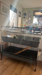 Cavia hok 2 verdiepingen, Ophalen, 110 cm of meer, Zo goed als nieuw, 90 cm of meer