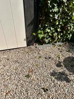 Grind: gratis op te halen, ongeveer 8m2, Tuin en Terras, Grind, Keien en Split, Ophalen, Gebruikt, Overige materialen