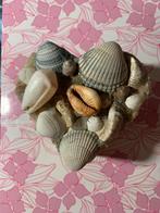 Houten sieradendoosje in hartvorm met schelpen, Overige merken, Overige materialen, Ophalen of Verzenden, Zo goed als nieuw