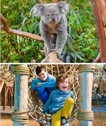 Ouwehands dierenpark tickets + ijsje beschikbaar voor biedingen