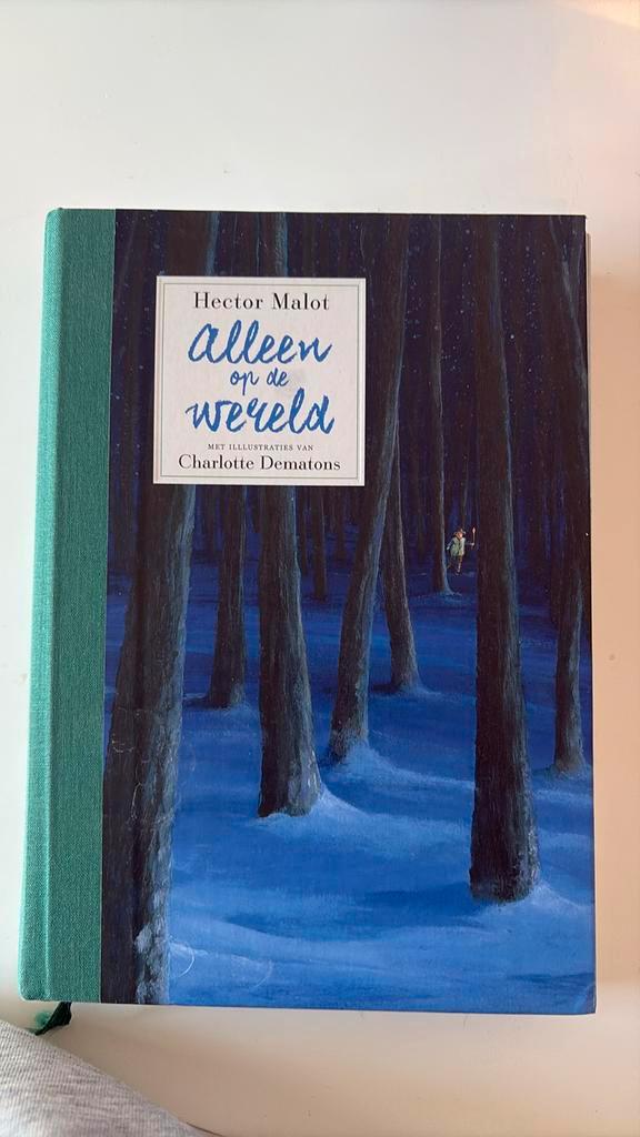 Hector Malot - Alleen op de wereld, Boeken, Kinderboeken | Jeugd | onder 10 jaar, Zo goed als nieuw, Ophalen