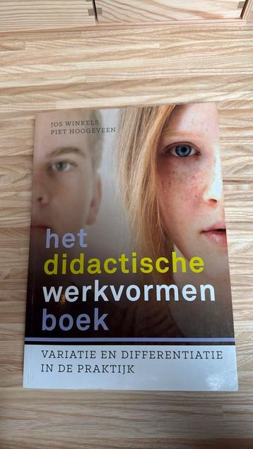 Piet Hoogeveen - Het didactische werkvormenboek beschikbaar voor biedingen
