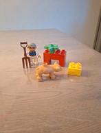 Lego Duplo Boer met Varken en Stenen, Ophalen of Verzenden, Gebruikt, Complete set, Duplo