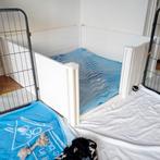 Te huur : solide werpkist 120 x 120 cm

Met anti dooddruk st, Ophalen, Zo goed als nieuw, 110 cm of meer, Minder dan 65 cm