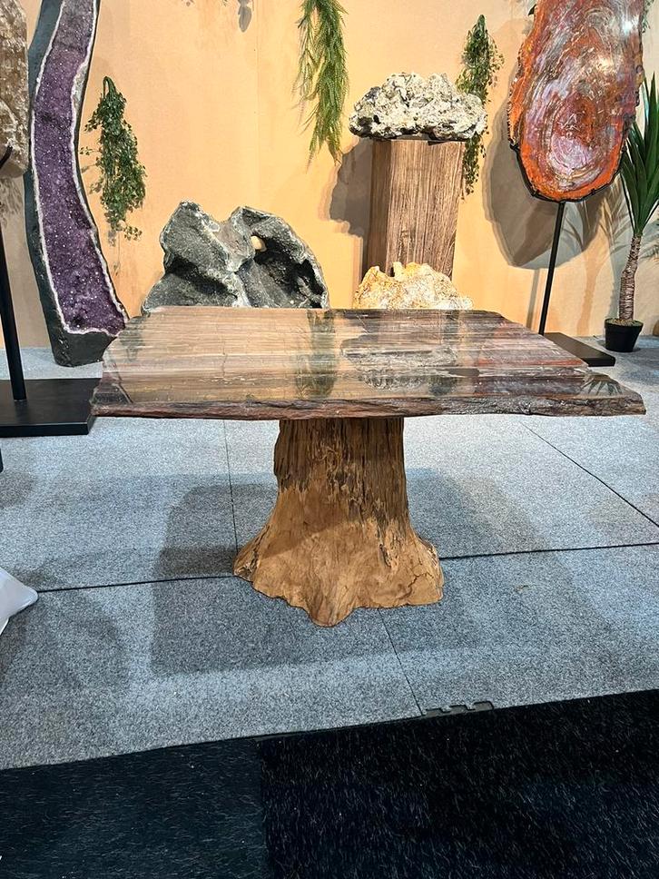 prachtig en exclusieve versteend hout tafel, 225 mlj jaaroud, Verzamelen, Mineralen en Fossielen, Ophalen of Verzenden