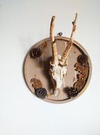 Reebok schedel met gouden details Taxidermy, Verzamelen, Dierenverzamelingen, Ophalen of Verzenden, Nieuw, Hert, Schedel