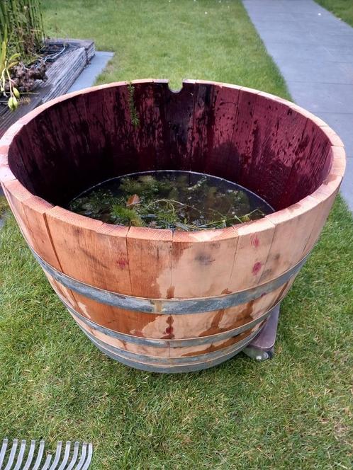 Vijvertje met gratis planten en visjes, Tuin en Terras, Vijver-toebehoren, Nieuw, Ophalen