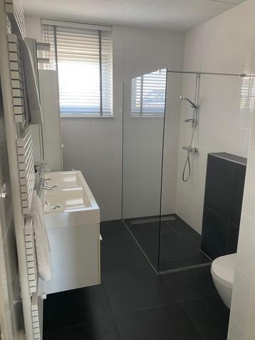 Detremmerie badkamer wc meubel radiator wandkast beschikbaar voor biedingen