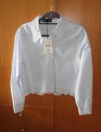 Mooie korte Zara blouse mt XL 42 met openborduurwerk nw, Kleding | Dames, Blouses en Tunieken, Blauw, Zara, Maat 42/44 (L), Nieuw