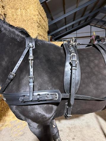 Zilco enkelspantuig beschikbaar voor biedingen