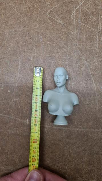 Vrouwlijk Bust sculpting resin beschikbaar voor biedingen