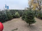 Kerstbomen Nordman ook Zondag open!!!!, Ophalen