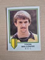 Panini Voetbal 81 Toon Willemse NEC, Verzamelen, Sportartikelen en Voetbal, Ophalen of Verzenden, Zo goed als nieuw, Poster, Plaatje of Sticker