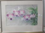Aquarel genaamd - Thailand orchidee - 2000, Antiek en Kunst