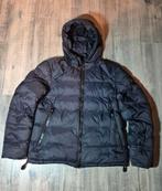 Donkerblauwe Peuterey winterjas L, Kleding | Heren, Jassen | Winter, Maat 52/54 (L), Onbekend, Blauw, Ophalen of Verzenden