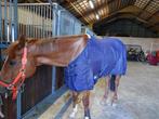 Harry’s horse staldeken zomerdeken maat 185, Ophalen of Verzenden, Gebruikt