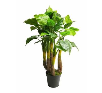 Prachtige nieuwe kunstplant  120 cm van € 195 voor € 125 beschikbaar voor biedingen