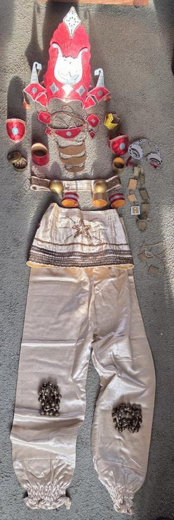 Indiaas danskostuum, Kleding | Heren, Overige Herenkleding, Zo goed als nieuw, Ophalen