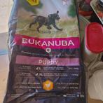 Eukanuba puppy, Ophalen, Hond