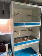 3 delige van Keulen kooien met onderstel, Dieren en Toebehoren, Ophalen, Zo goed als nieuw, Hout, Broedkooi of Kweekkooi