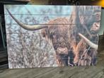 muurdecoratie schotse hooglander, Huis en Inrichting, Ophalen of Verzenden, Zo goed als nieuw