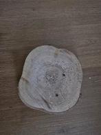 boomstam schijven, Doe-het-zelf en Verbouw, Hout en Planken, Minder dan 25 mm, Eiken, Nieuw, Ophalen of Verzenden