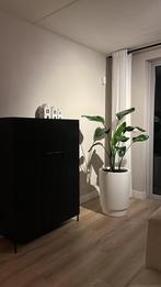 2x elho pure grade pot, Ophalen, Halfschaduw, Minder dan 100 cm