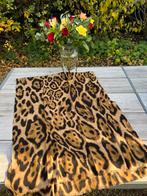 Wollen Kasjmier Sjaal, Ophalen of Verzenden, Zo goed als nieuw