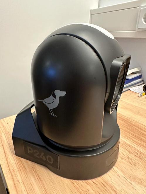 Birddog P240 Full NDI camera (zwart), Audio, Tv en Foto, Professionele Audio-, Tv- en Video-apparatuur, Zo goed als nieuw, Video