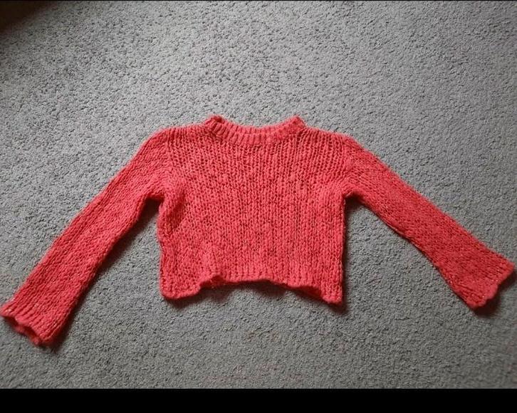 Korte trui maat m, Kleding | Dames, Truien en Vesten, Zo goed als nieuw, Ophalen of Verzenden