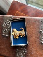 Goudkleurige Basset Hound Broche in Doosje hond, Sieraden, Tassen en Uiterlijk, Broches, 4 tot 7 cm, Nieuw, Ophalen of Verzenden