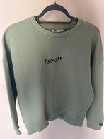 Picasso sweater, Kleding | Heren, Nieuw, Ophalen of Verzenden, Zara Man, Groen