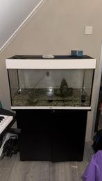 Juwel aquarium 125liter, Dieren en Toebehoren, Ophalen, Gevuld zoetwateraquarium