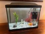 Aquarium met toebehoren., Ophalen, Zo goed als nieuw, Leeg aquarium