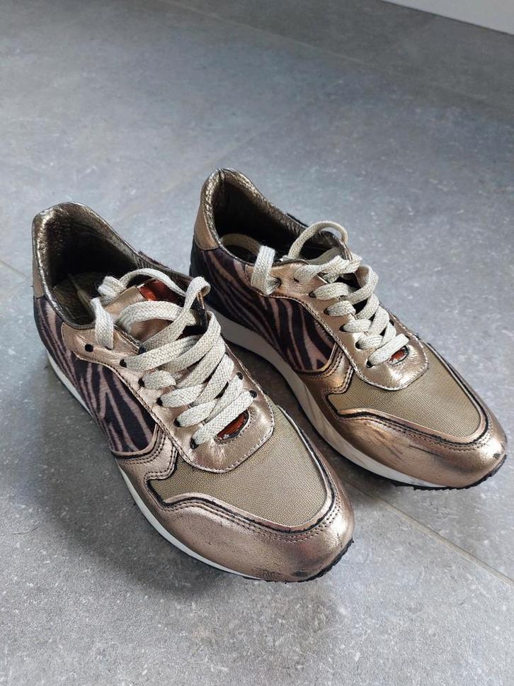 HIP Sneakers Maat 37, Kleding | Dames, Schoenen, Zo goed als nieuw, Sneakers of Gympen, Bruin, Ophalen of Verzenden
