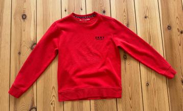 Trui / Sweater DKNY - Rood - Maat XS / Small beschikbaar voor biedingen