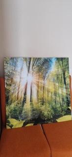 Schilderij / foto op glas 80x80, Huis en Inrichting, Woonaccessoires | Schilderijen, Tekeningen en Foto's, Ophalen, Zo goed als nieuw